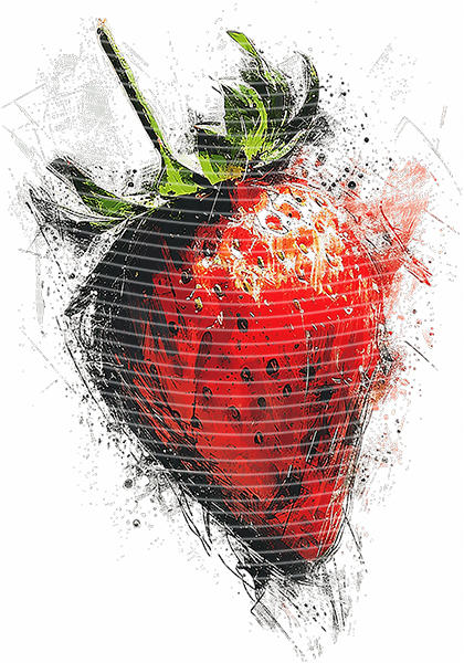 A5 Notebook Wraps-W-362